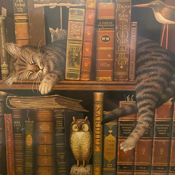 Wysoki Cat Sleeping on Books print - Picture 2 of 2